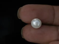 Cultured Pearl Stone (Moti Ratna) 3.90 Carat (4.28 Ratti) - In palm