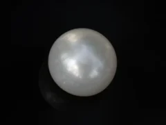 Cultured Pearl Stone (Moti Ratna) 4.00 Carat (4.40 Ratti) - Top view