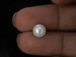 Cultured Pearl Stone (Moti Ratna) 4.00 Carat (4.40 Ratti) - In palm
