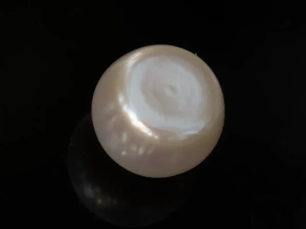 Cultured Pearl Stone (Moti Ratna) 4.01 Carat (4.41 Ratti) - Back view