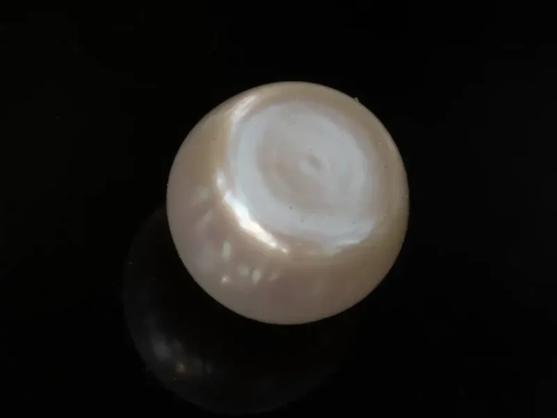 Cultured Pearl Stone (Moti Ratna) 4.01 Carat (4.41 Ratti) - Back view
