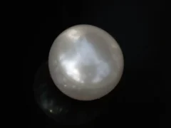 Cultured Pearl Stone (Moti Ratna) 4.01 Carat (4.41 Ratti) - Top view