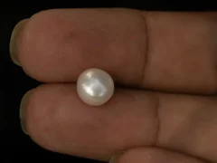 Cultured Pearl Stone (Moti Ratna) 4.01 Carat (4.41 Ratti) - In palm