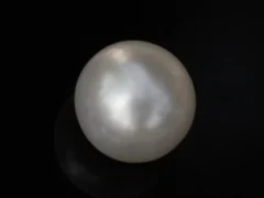 Cultured Pearl Stone (Moti Ratna) 4.06 Carat (4.46 Ratti) - Top view