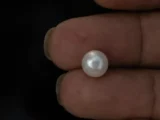 Cultured Pearl Stone (Moti Ratna) 4.06 Carat (4.46 Ratti) - In palm