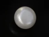 Cultured Pearl Stone (Moti Ratna) 4.11 Carat (4.52 Ratti) - Back view