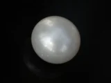 Cultured Pearl Stone (Moti Ratna) 4.11 Carat (4.52 Ratti) - Top view