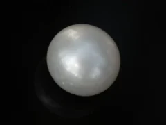 Cultured Pearl Stone (Moti Ratna) 4.11 Carat (4.52 Ratti) - Top view