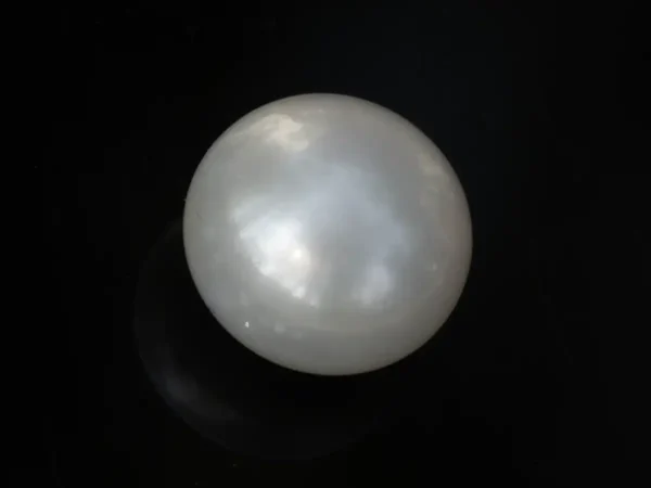 Cultured Pearl Stone (Moti Ratna) 4.11 Carat (4.52 Ratti) - Top view