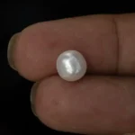 Cultured Pearl Stone (Moti Ratna) 4.18 Carat (4.59 Ratti) - In palm