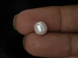 Cultured Pearl Stone (Moti Ratna) 4.18 Carat (4.59 Ratti) - In palm