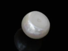 Cultured Pearl Stone (Moti Ratna) – 4.24 Carat (4.66 Ratti) - Back view