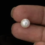 Cultured Pearl Stone (Moti Ratna) – 4.24 Carat (4.66 Ratti) - In palm