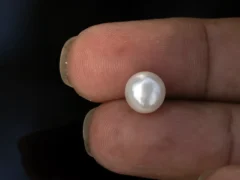 Cultured Pearl Stone (Moti Ratna) 4.25 Carat (4.67 Ratti) - In palm
