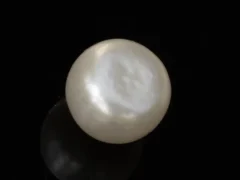 Cultured Pearl Stone (Moti Ratna) 4.26 Carat (4.68 Ratti) - Back view