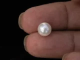 Cultured Pearl Stone (Moti Ratna) 4.26 Carat (4.68 Ratti) - In palm