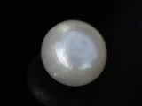 Cultured Pearl Stone (Moti Ratna) 4.30 Carat (4.72 Ratti) - Back view