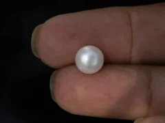 Cultured Pearl Stone (Moti Ratna) 4.30 Carat (4.72 Ratti) - In palm