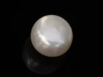 Cultured Pearl Stone (Moti Ratna) 4.31 Carat (4.74 Ratti) - Back view