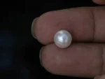 Cultured Pearl Stone (Moti Ratna) 4.35 Carat (4.78 Ratti) - In palm