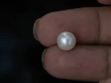 Cultured Pearl Stone (Moti Ratna) 4.35 Carat (4.78 Ratti) - In palm