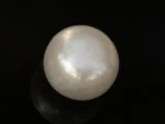 Cultured Pearl Stone (Moti Ratna) 4.36 Carat (4.79 Ratti) - Back view