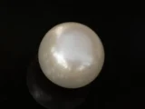 Cultured Pearl Stone (Moti Ratna) 4.36 Carat (4.79 Ratti) - Back view