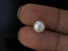 Cultured Pearl Stone (Moti Ratna) 4.36 Carat (4.79 Ratti) - In palm
