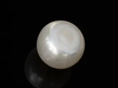 Cultured Pearl Stone (Moti Ratna) 4.44 Carat (4.88 Ratti) - Back view