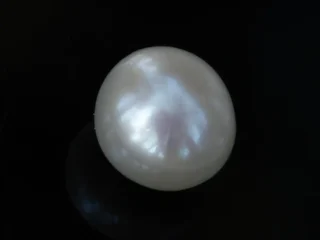 Cultured Pearl Stone (Moti Ratna) 4.61 Carat (5.07 Ratti) - Top view