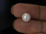 Cultured Pearl Stone (Moti Ratna) 4.63 Carat (5.01 Ratti) - In palm