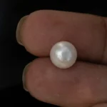 Cultured Pearl Stone (Moti Ratna) 4.63 Carat (5.01 Ratti) - In palm