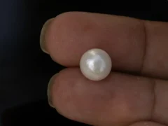Cultured Pearl Stone (Moti Ratna) 4.63 Carat (5.01 Ratti) - In palm
