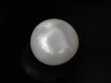 Cultured Pearl Stone (Moti Ratna) 5.31 Carat (5.83 Ratti) - Back view