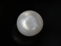 Cultured Pearl Stone (Moti Ratna) 5.31 Carat (5.83 Ratti) - Back view