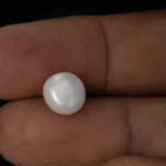 Cultured Pearl Stone (Moti Ratna) 5.31 Carat (5.83 Ratti) - In palm