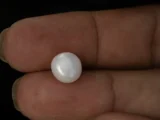Cultured Pearl Stone (Moti Ratna) 5.31 Carat (5.83 Ratti) - In palm