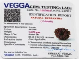 10 Mukhi Rudraksha Nepali Lab Certificate – Verified by ISO Certified Laboratory