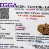 12 Mukhi Rudraksha Certificate – Nepali Origin, Lab-Tested and ISO Certified