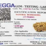13 Mukhi Rudraksha Certificate – Lab Certified and Verified by ISO Accredited Gemological Lab