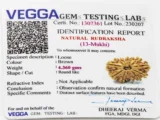 13 Mukhi Rudraksha Certificate – Lab Certified and Verified by ISO Accredited Gemological Lab