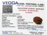 Original 8 Mukhi Rudraksha Nepali Certificate – ISO Certified Lab Report
