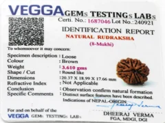 Original 8 Mukhi Rudraksha Nepali Certificate – ISO Certified Lab Report