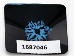 8 Mukhi Rudraksha X-Ray Image – Clear Internal View of Eight Natural Mukhis from Nepali Bead