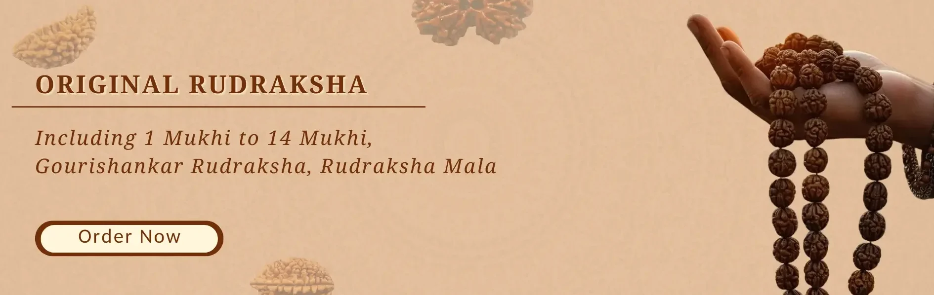 Authentic collection of Nepali Rudraksha beads.
