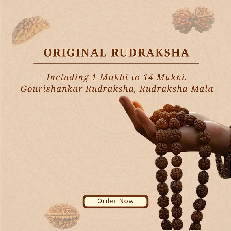 Authentic Rudraksha collection: 1–14 Mukhi beads, Gauri Shankar Rudraksha, and a traditional Rudraksha mala