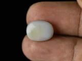 Holding a certified 4.87 Carat (5.35 Ratti) Australian Fire Opal