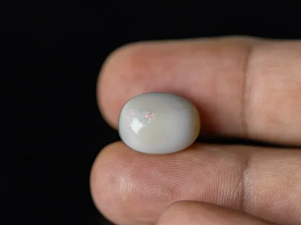 Holding a certified 7.29 Carat (8.01 Ratti) Australian Fire Opal