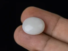 Holding a certified 8.05 Carat (8.85 Ratti) Australian Fire Opal