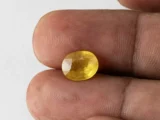 Holding a certified 4.52 ratti yellow sapphire from Ratna Gems